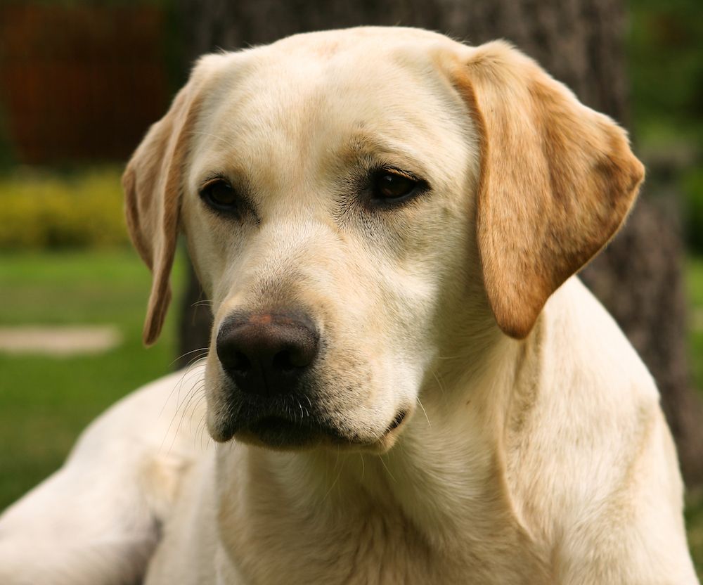 The Gossip Column, March 19, 2021